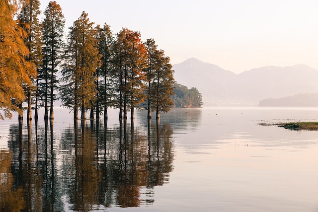 lake