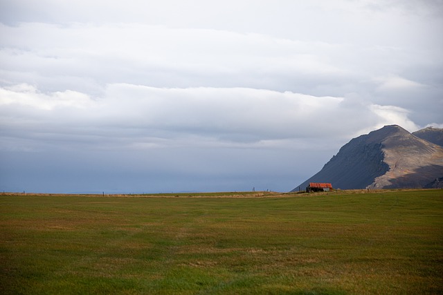 Nordic cuisine