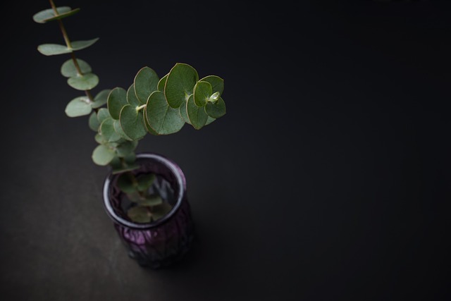 北欧インテリア