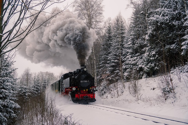winter scenery
