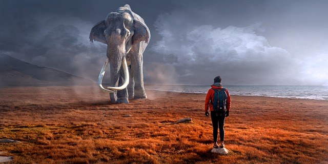 landscapes