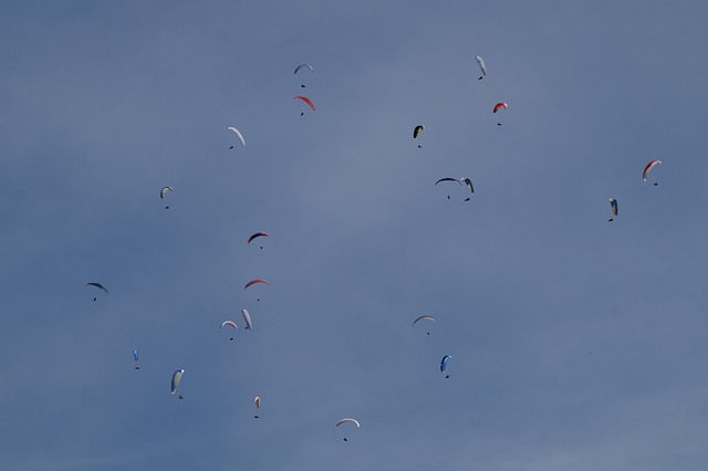 skydivers