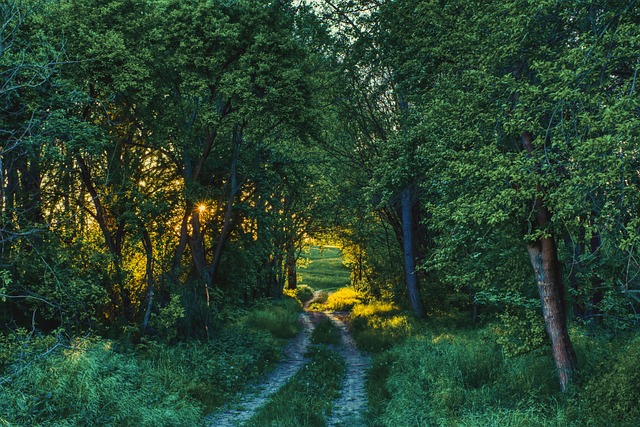 countryside