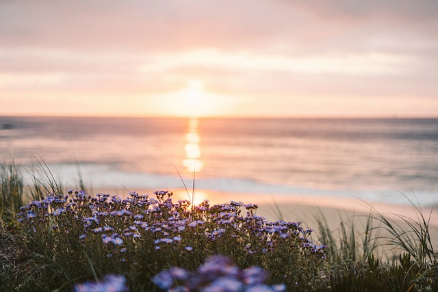 beaches
