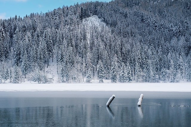 winter