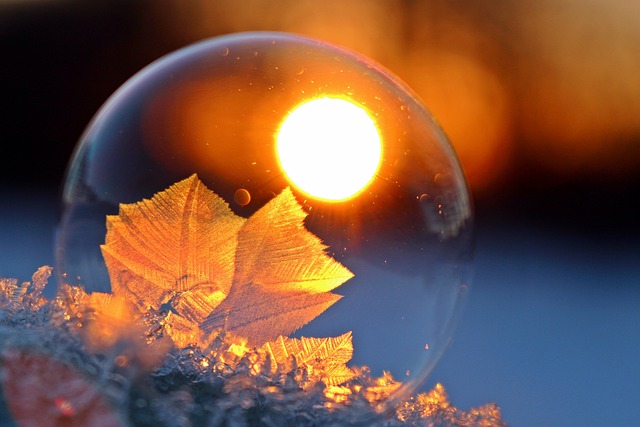 winter