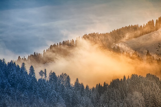 winter