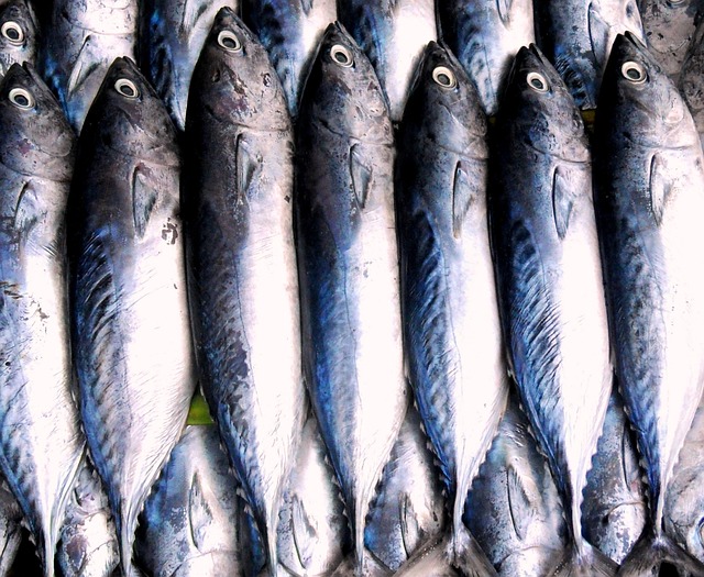 seafood