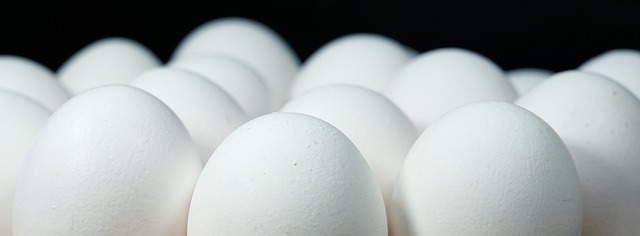 eggs