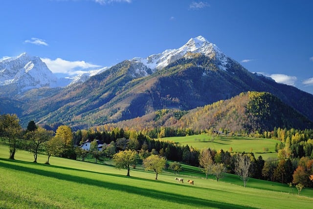 landscape