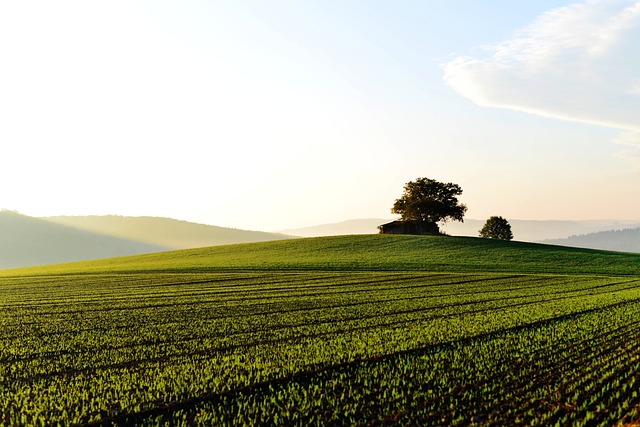 landscapes