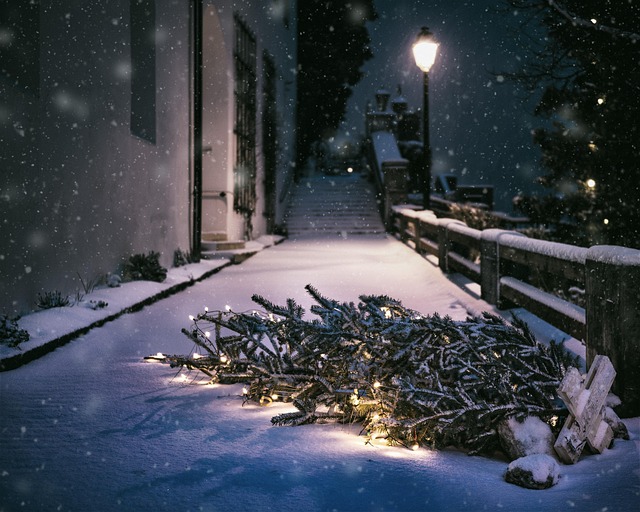 winter