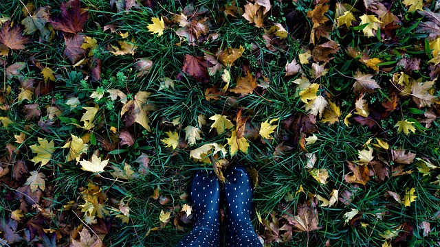 seasons