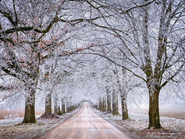 seasons