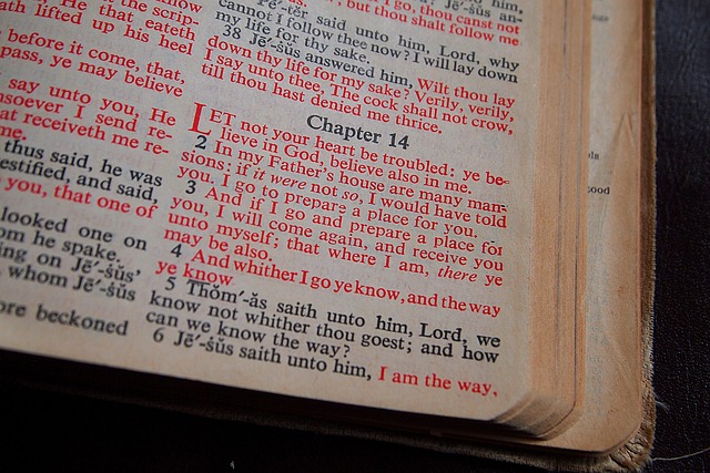 bible
