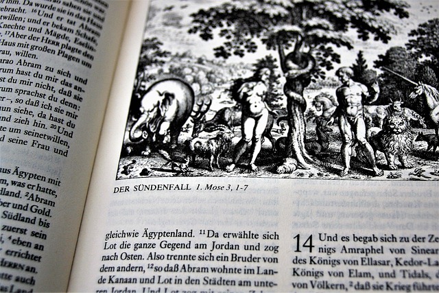 bible