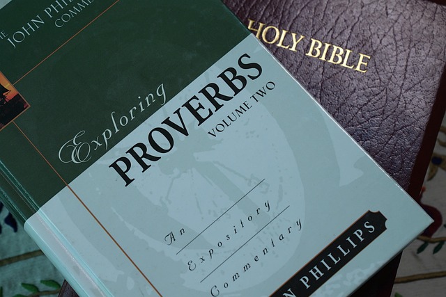 proverbs