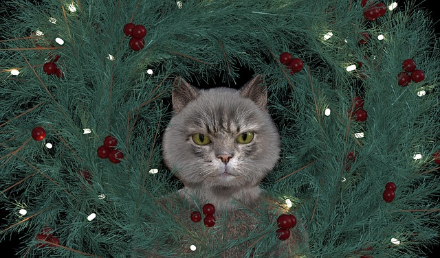 christmas