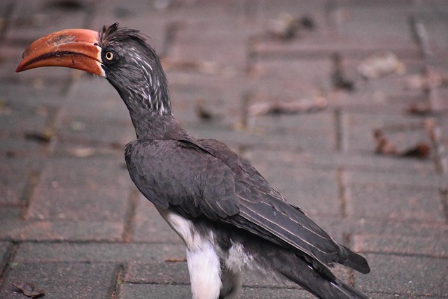 ugly christmas sweaters